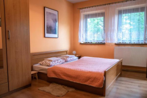 Apartament Domino - Krzeptówki 06